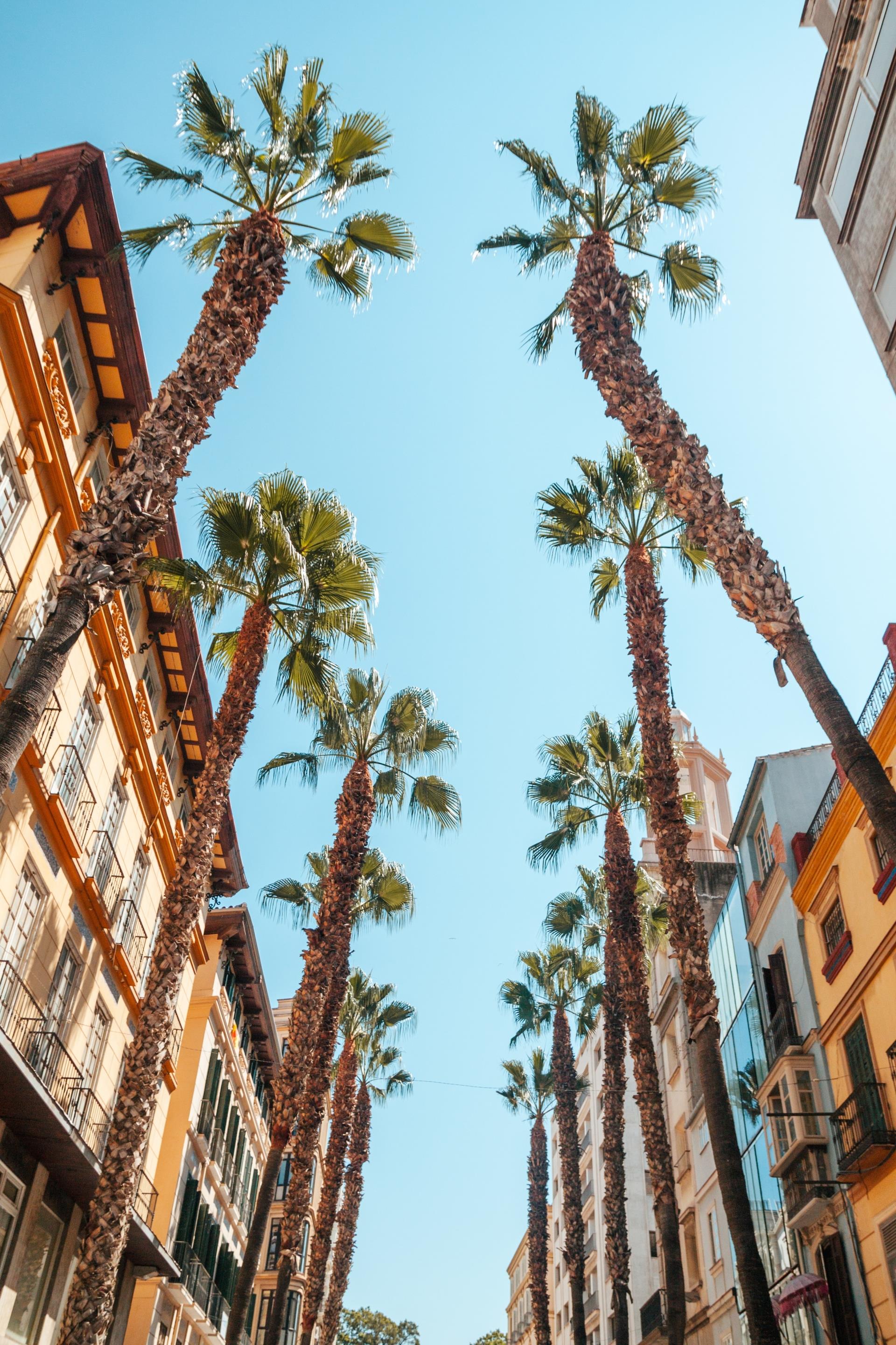 Las Mejores Cosas que Hacer en Málaga